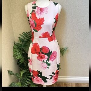 Floral Sleeveless Sheath Dress White Pink Red Flowers Size 10  BrandCalvin Klein